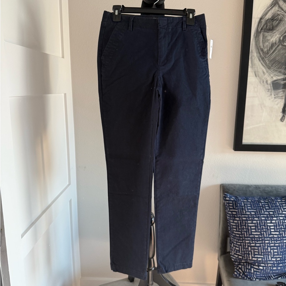 Banana Republic Dark Blue Chinos